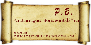 Pattantyus Bonaventúra névjegykártya
